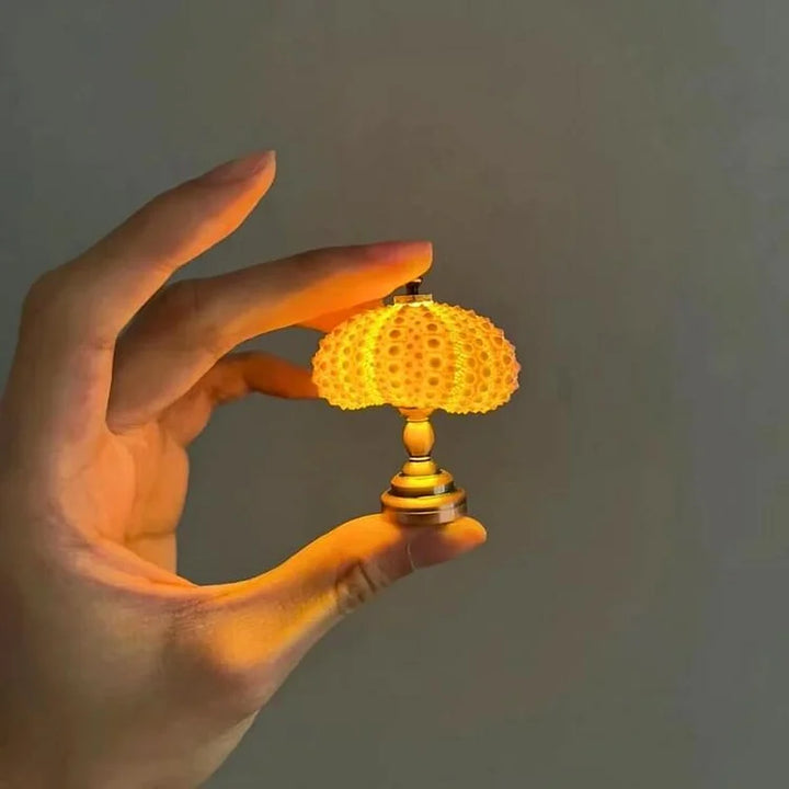 BowLift | LumiCraft – Unique DIY table lamp with natural sea shell for a cozy décor