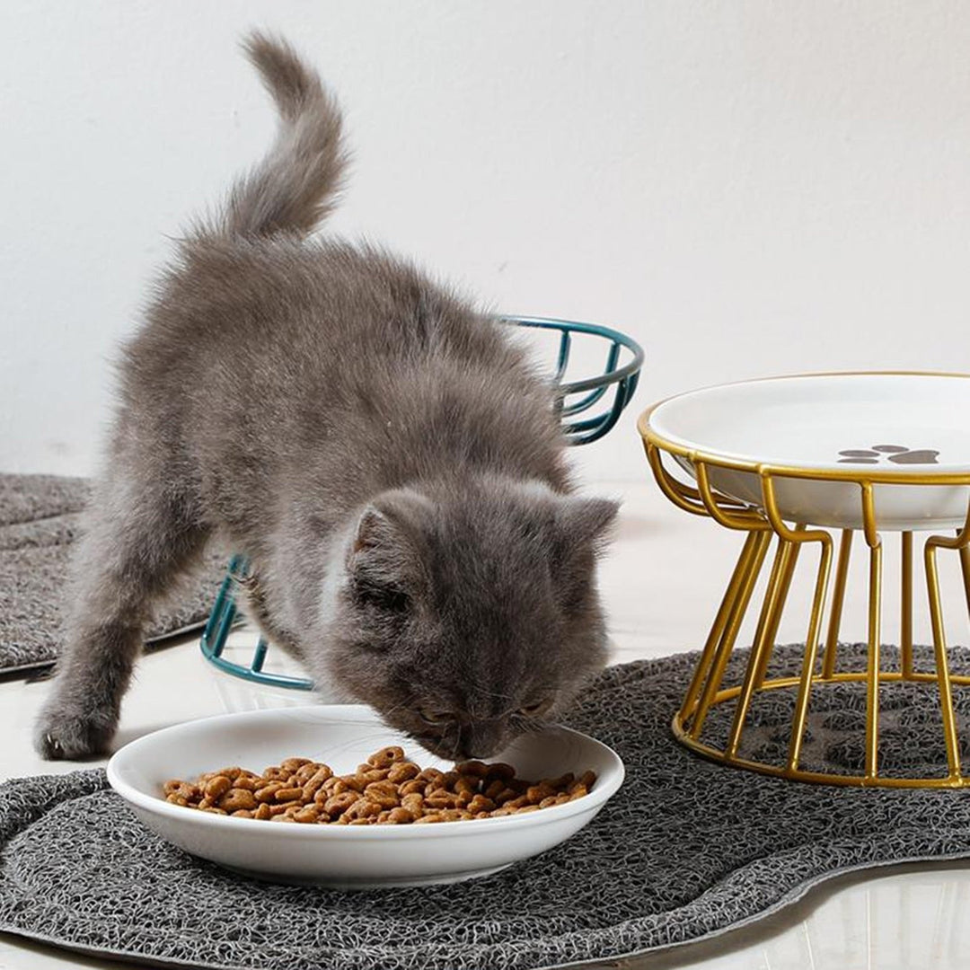 BowLift | Vomit Cat Plate