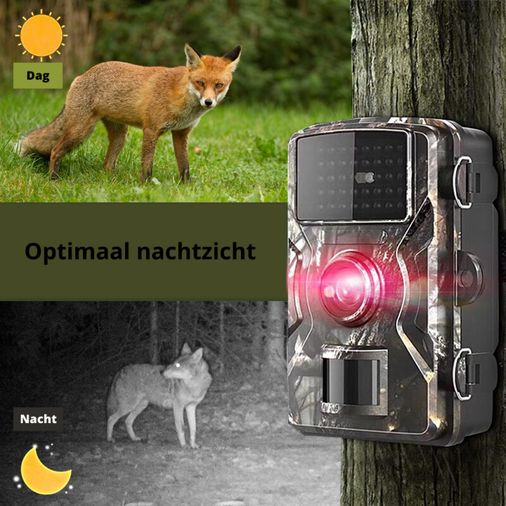 Compact 4K Outdoor Camera with Night Vision Bowlift