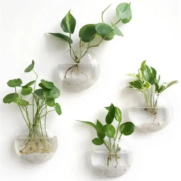 BowLift | GlasOase — Bring Your Walls to Life with Fresh Nature Power and Style