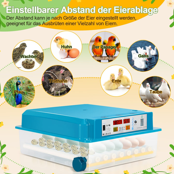 Brutautomat Fully Automatic Incubator for Chickens 64 Eggs | Bowlift