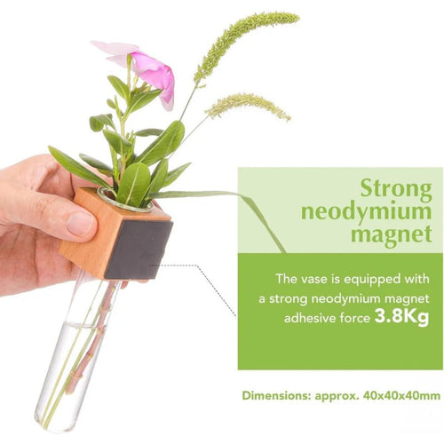 BowLift | Magnetic Mini Vase – Wood & Glass Wall-Mount Decor for Flowers & Cuttings