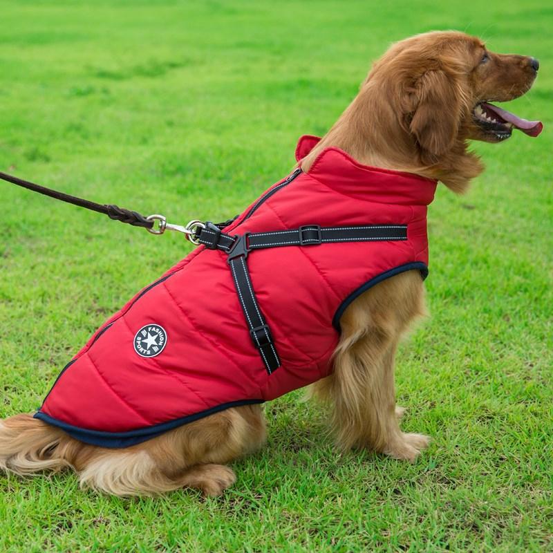 BowLift | Winter Zipper Coat for Dogs