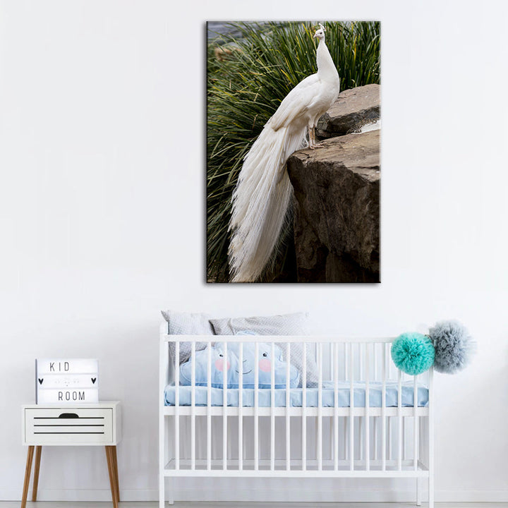 Regal Albino Peacock - Canvas Wall Art Painting | Bowlift