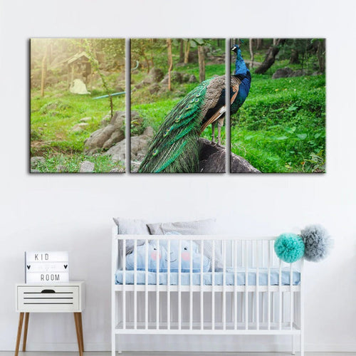 Dignified Sunlit Peacock-Canvas Wall Art Painting 3 Pieces | Bowlift