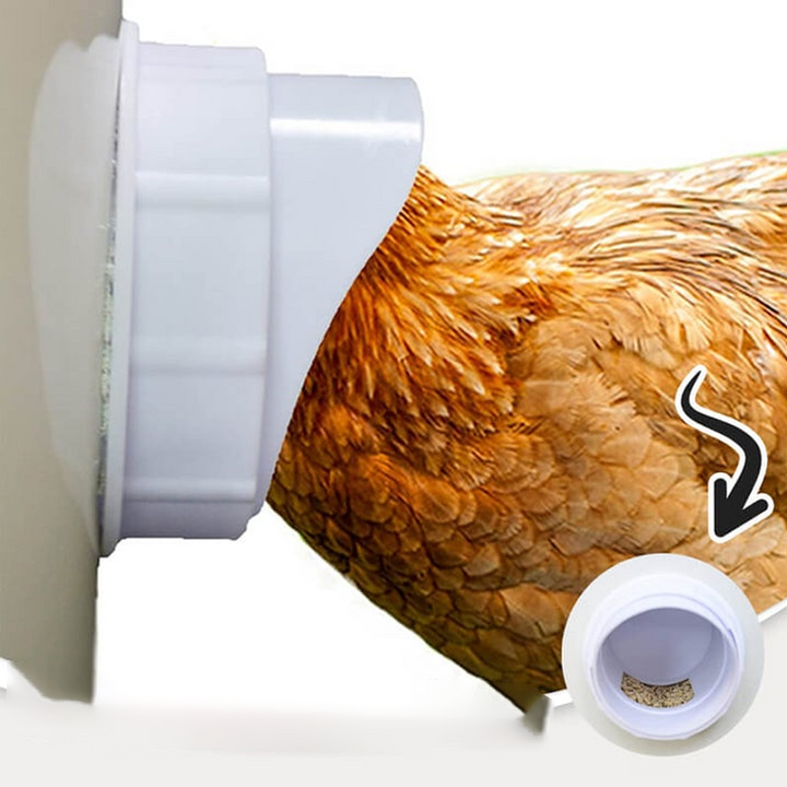 BowLift | DIY Chicken Feeder