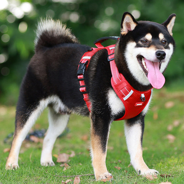 BowLift | Reflective Dog Harness