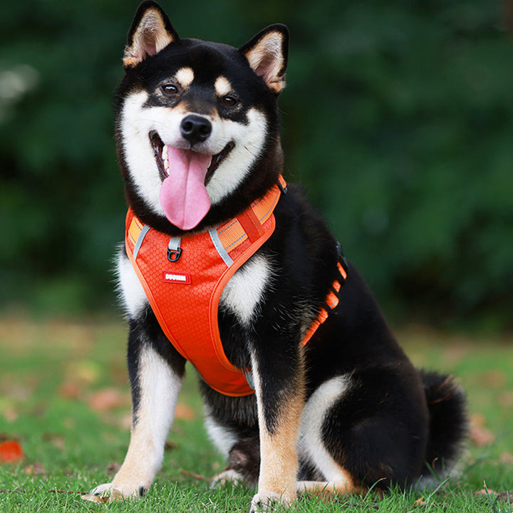 Reflective Dog Harness | Bowlift