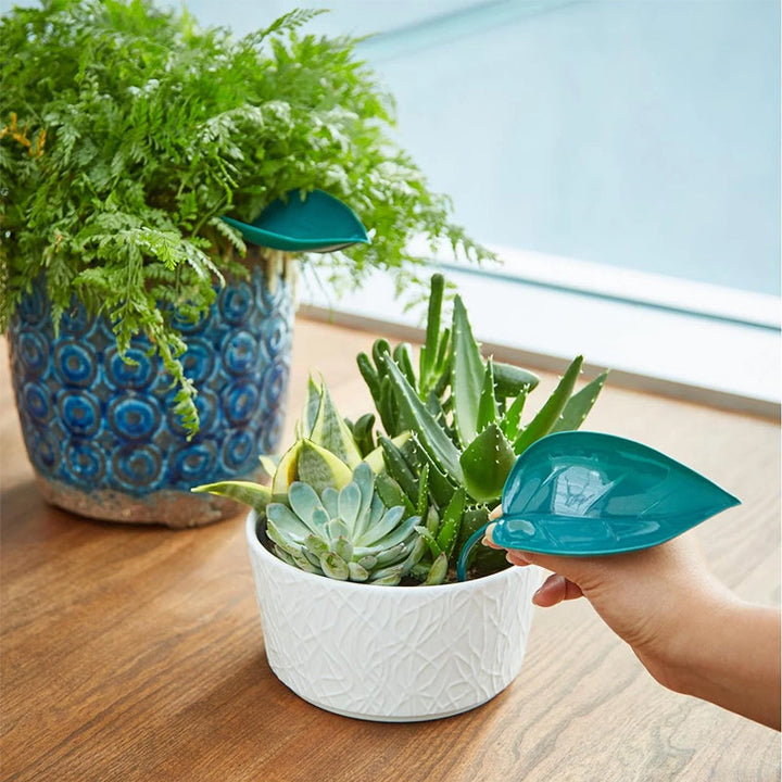 BowLift | Funny Watering Leaves (6pcs)