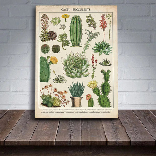 Cacti Plants - Canvas Wall Art Painting | Bowlift
