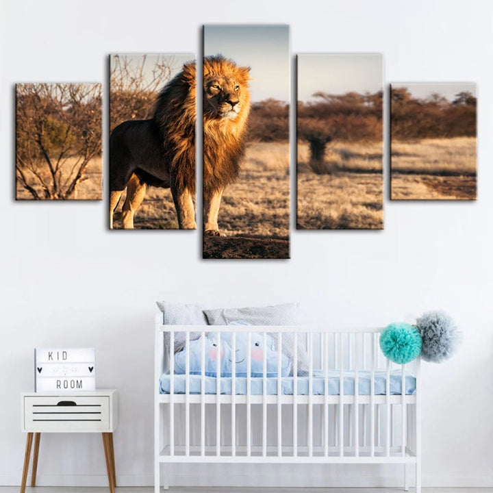 5 Piece Majestic Lion Bathed In Sunlight - Canvas Wall Art Paintings | Bowlift