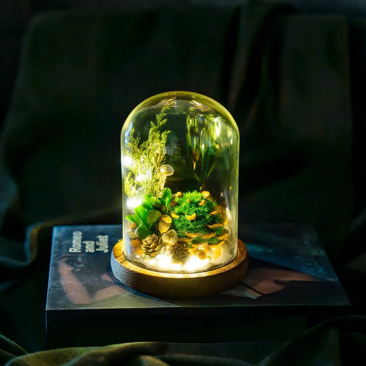 BowLift | EternaBloom Night Light
