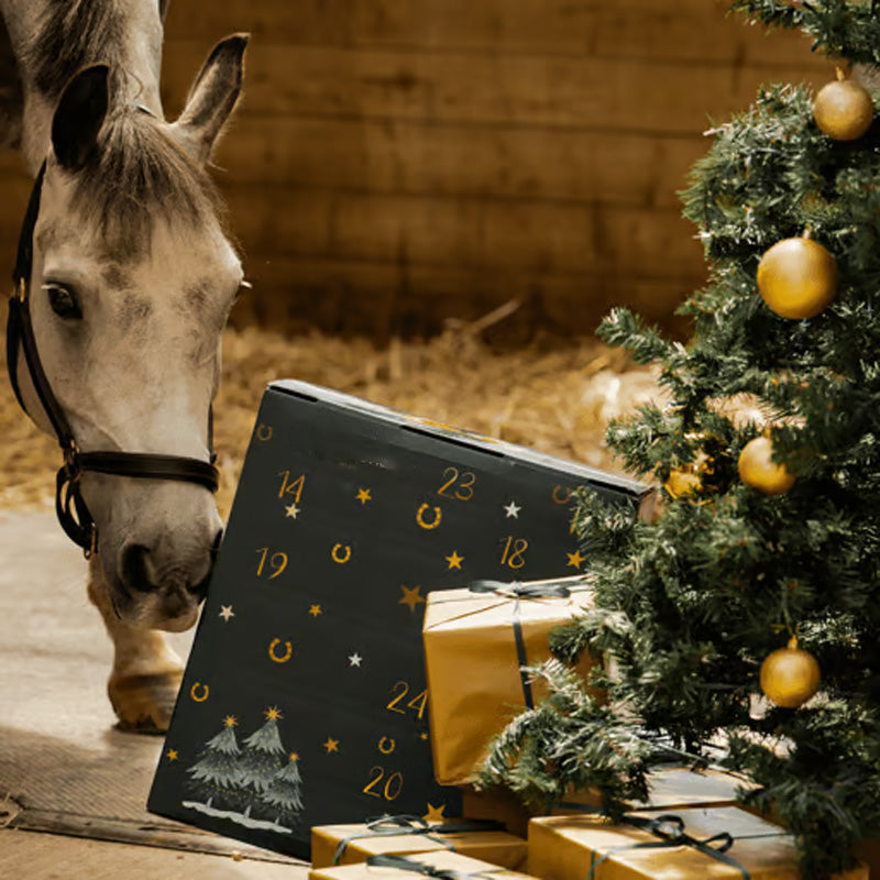BowLift | Forelock and Fringe Advent Calendar 2024