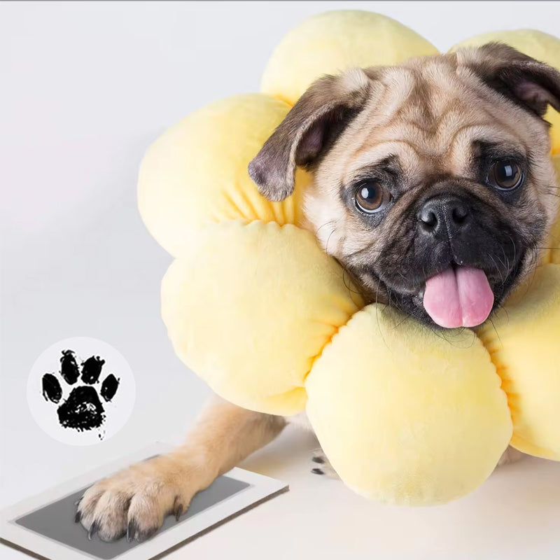 BowLift | DIY Pet Paw Print Memory Frame