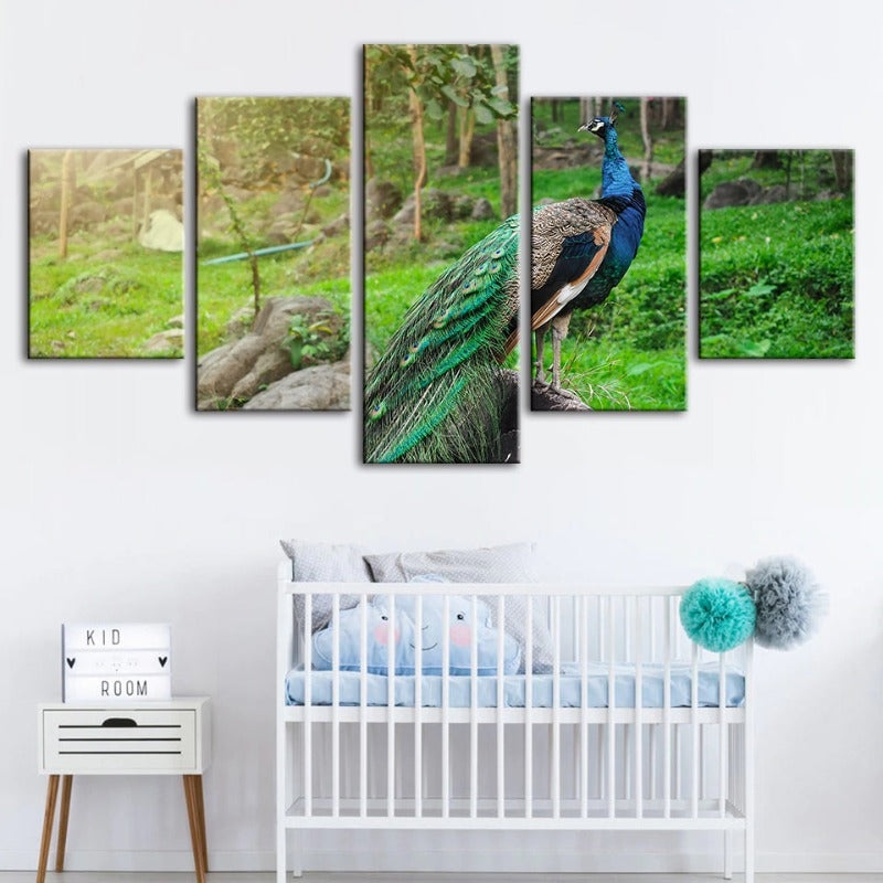 5 Piece Dignified Sunlit Peacock - Canvas Wall Art Painting | Bowlift