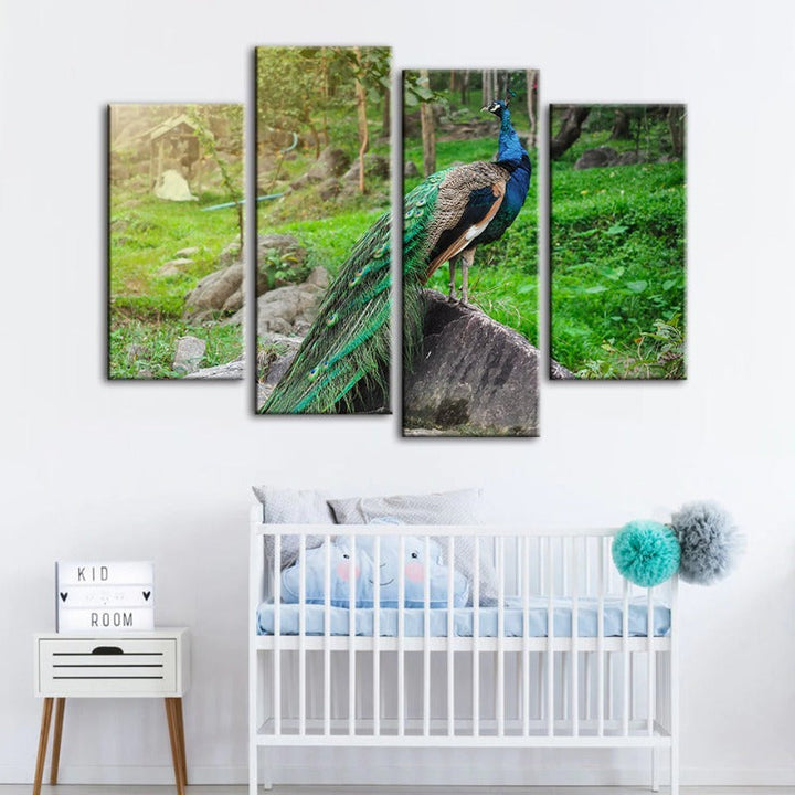 4 Piece Dignified Sunlit Peacock - Canvas Wall Art Painting | Bowlift