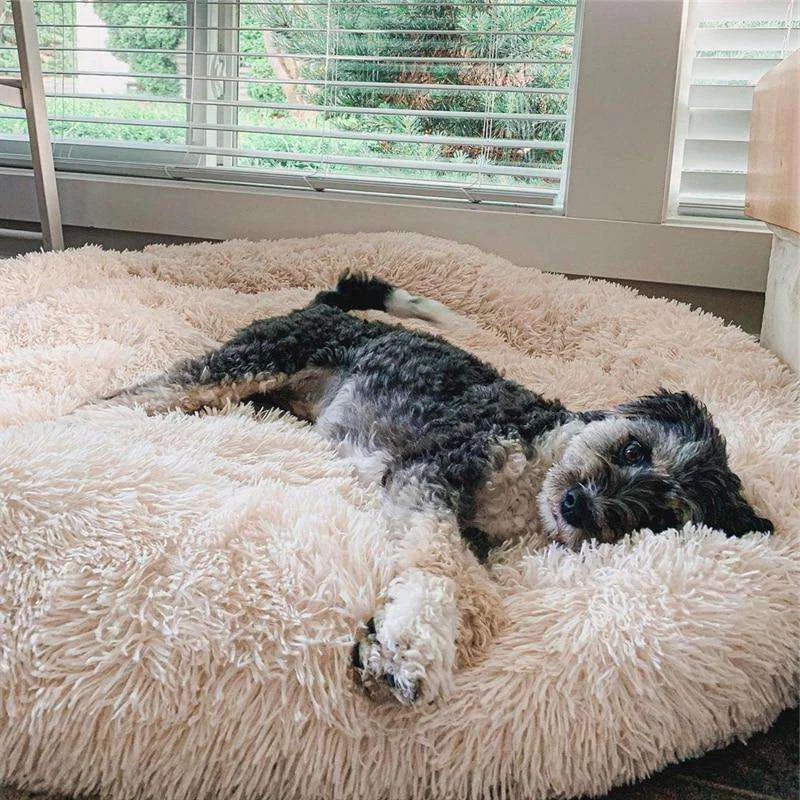 BowLift | Long Plush Donut Pet Bed with Washable Cover and Non-Slip Base