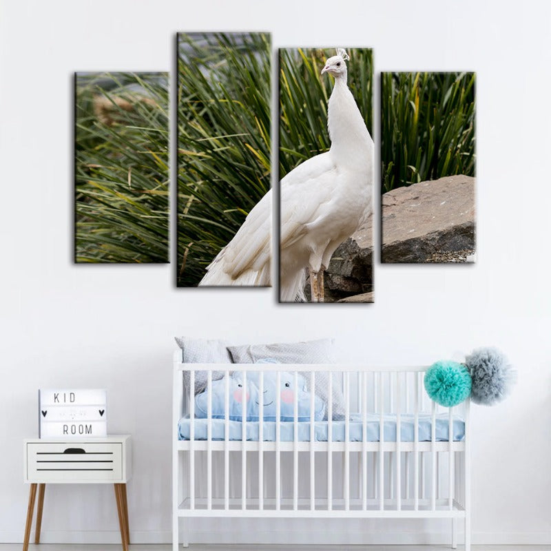 4 Piece Regal Albino Peacock - Canvas Wall Art Painting | Bowlift