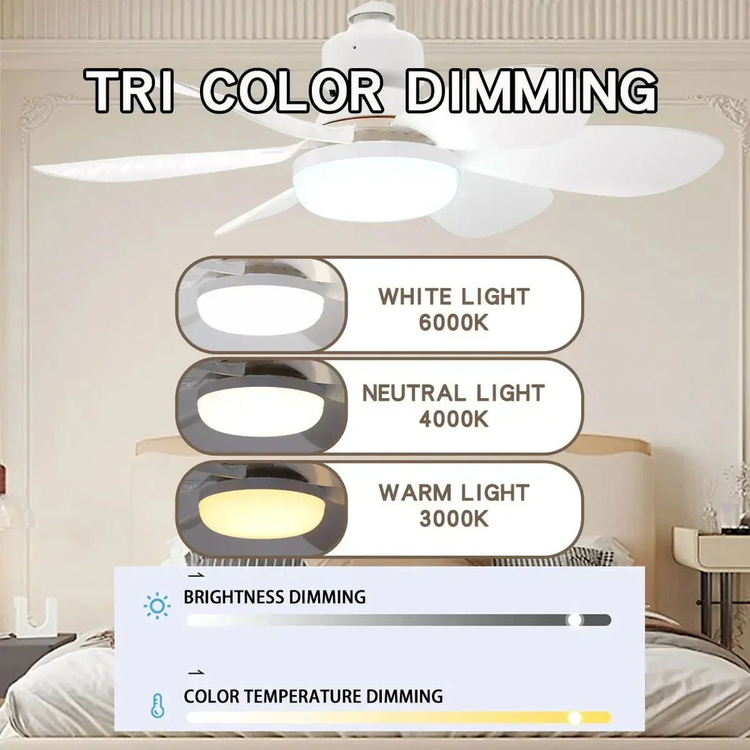 Ceiling fan LED with remote control and dimmable light | Bowlift