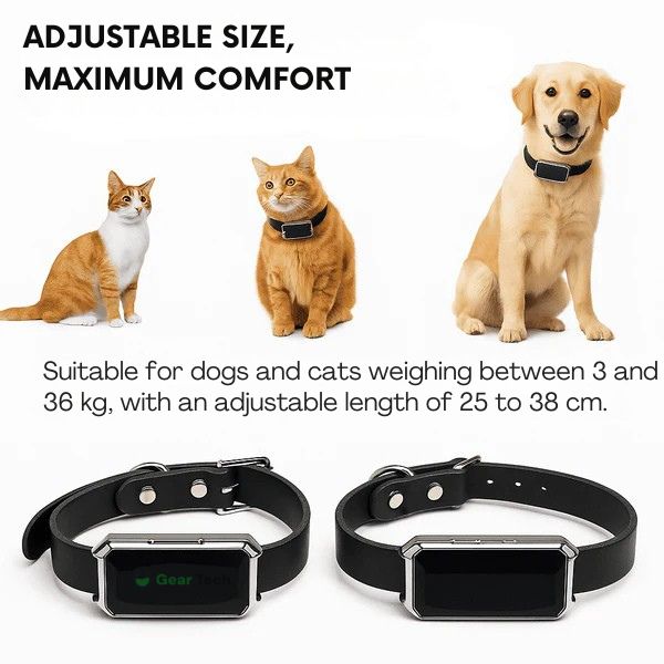 BowLift | GPS Dog Collar | Waterproof, Adjustable & Unlimited Range for Real-Time Tracking