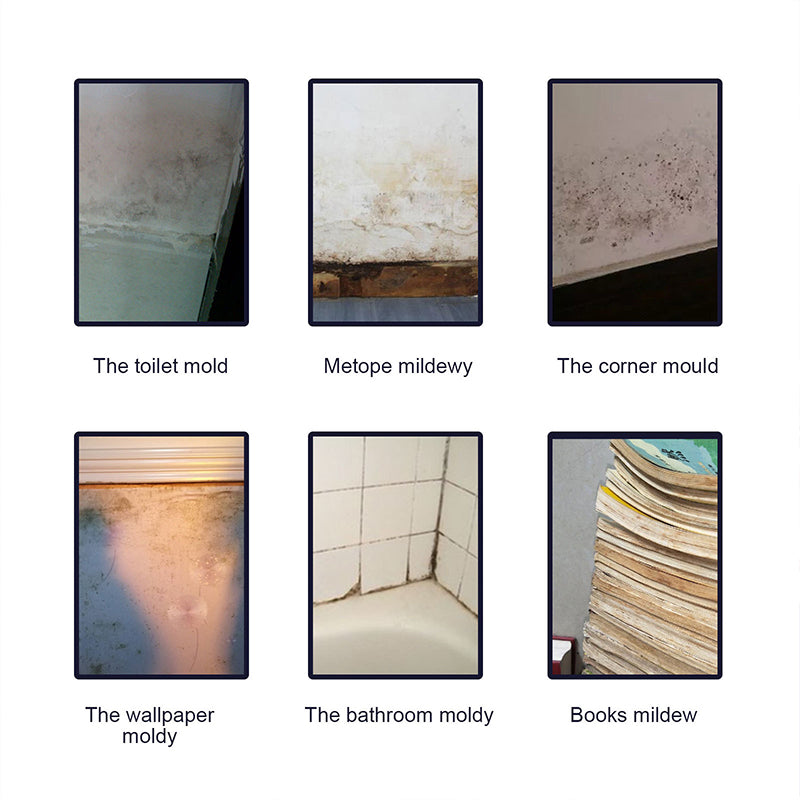 BowLift | Mold Cleaner Foam