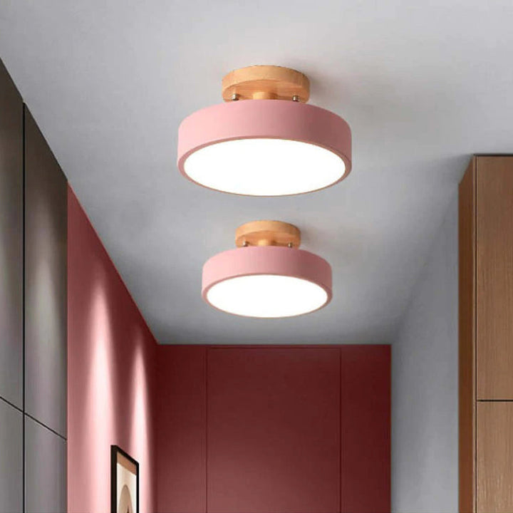 Alaric Modern LED Ceiling Lamp | Bowlift