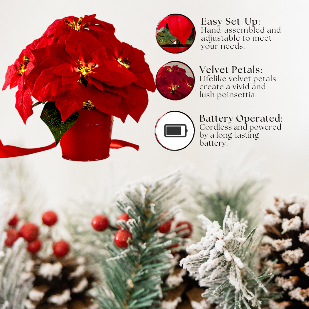 Red Poinsettia - Illuminate Your Holidays with Elegance Bowlift