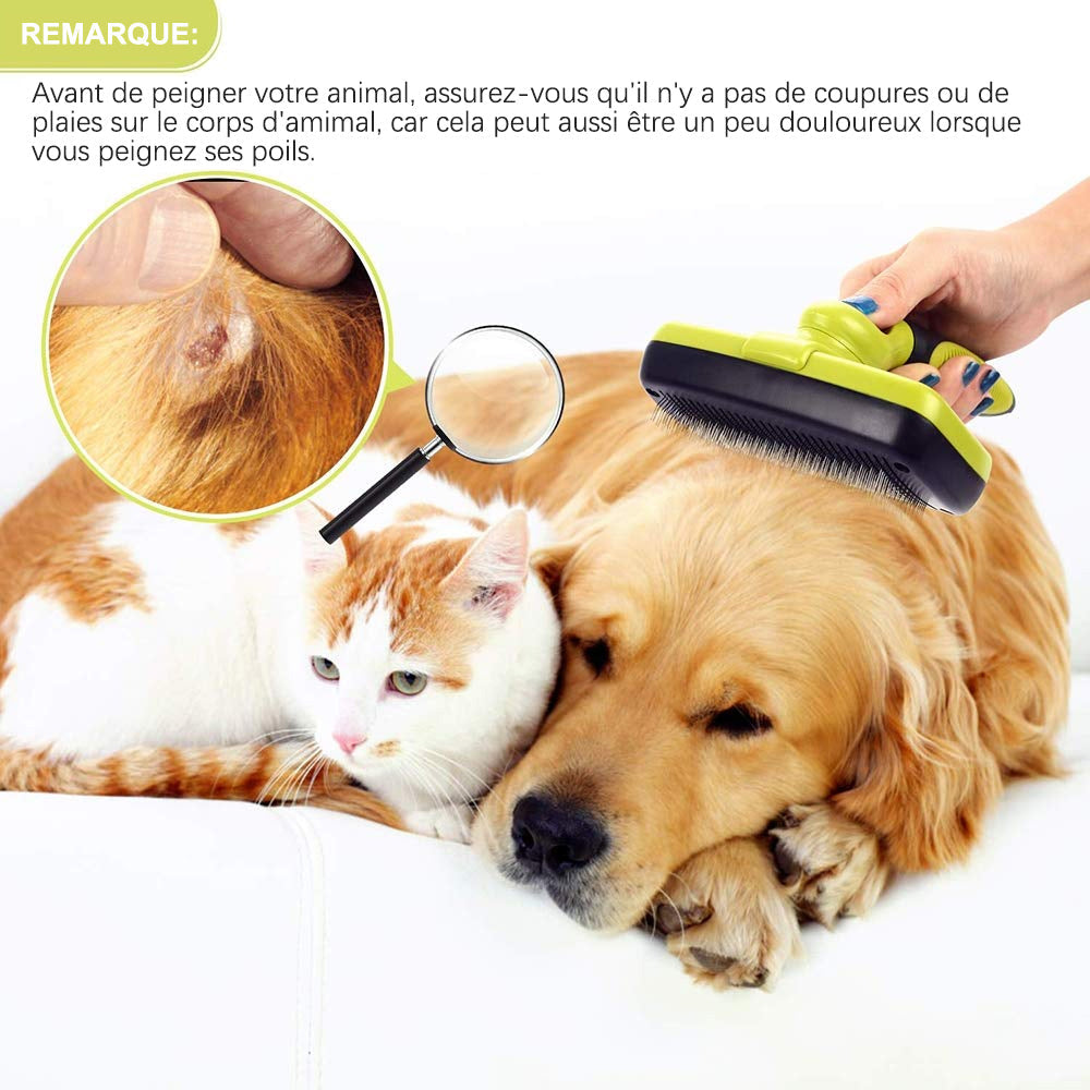 Ciaovie Brush for Pet Cleaning | Bowlift