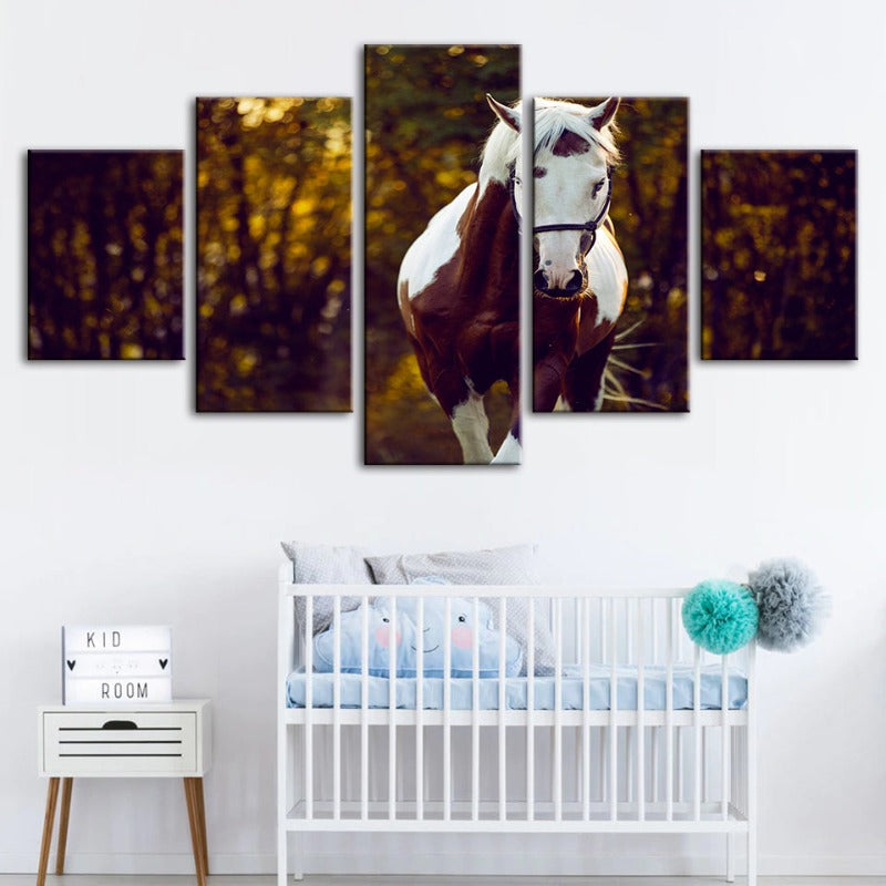 5 Piece Courtly Overo Horse - Canvas Wall Art Painting | Bowlift