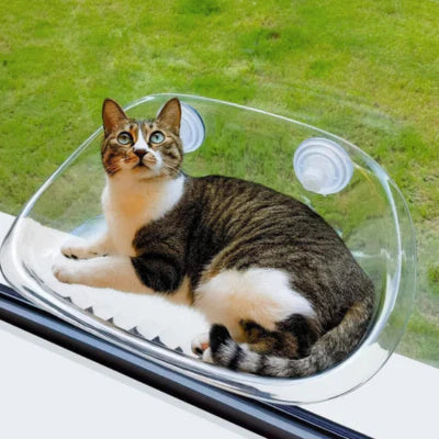 Window Seat for Cats – ViewPlace Bowlift