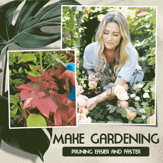 BowLift | Portable pointed pruning shears