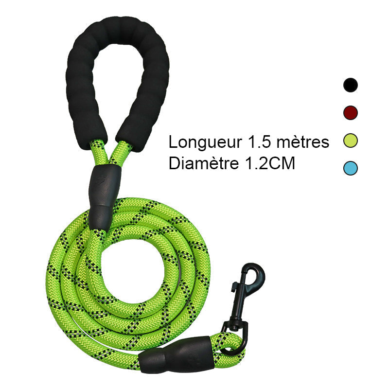 3-in-1 Pet Walking Kit | Bowlift