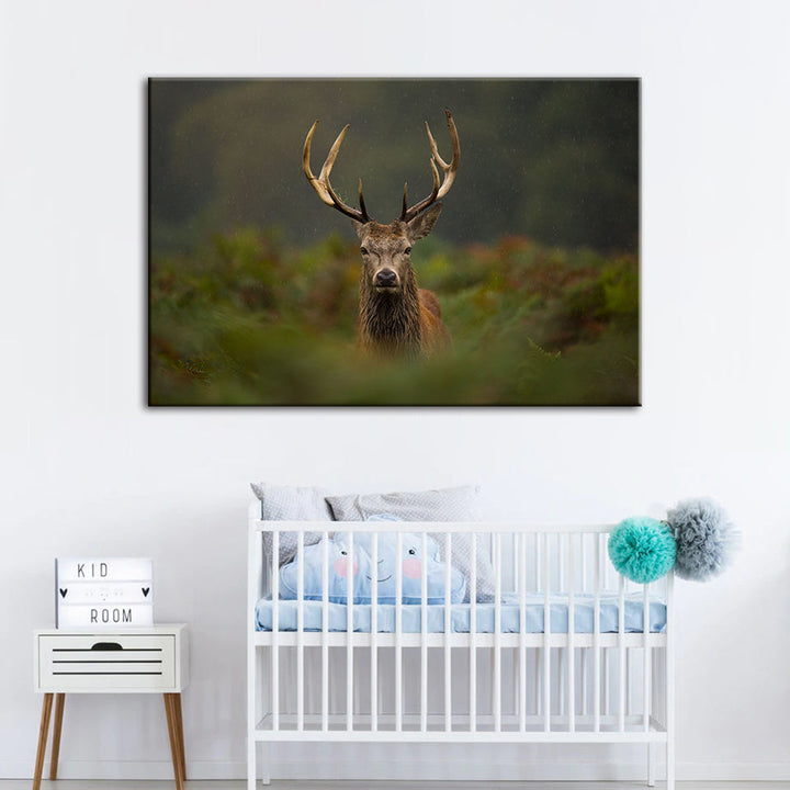 Curios Deer Amongst Ferns - Canvas Wall Art Painting | Bowlift