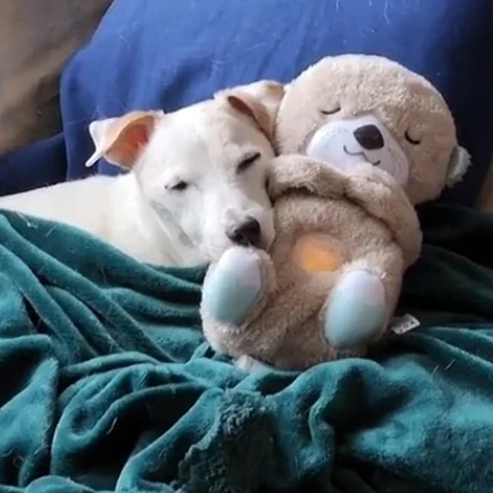 BowLift | Calming Otter Plush