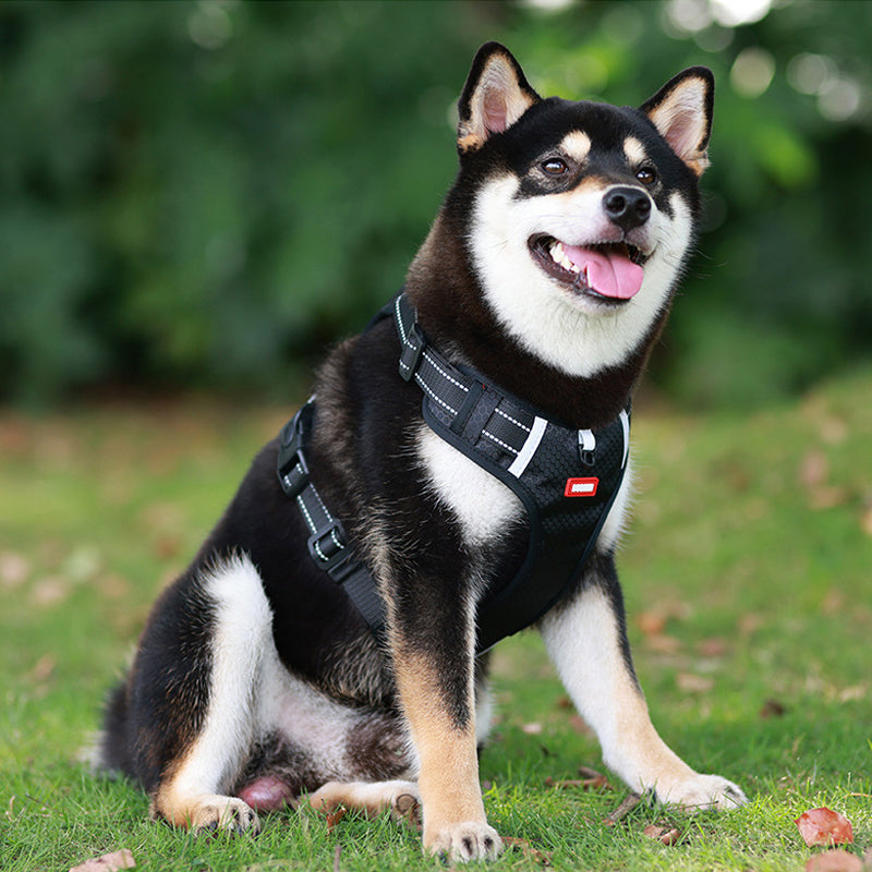 Reflective Dog Harness | Bowlift