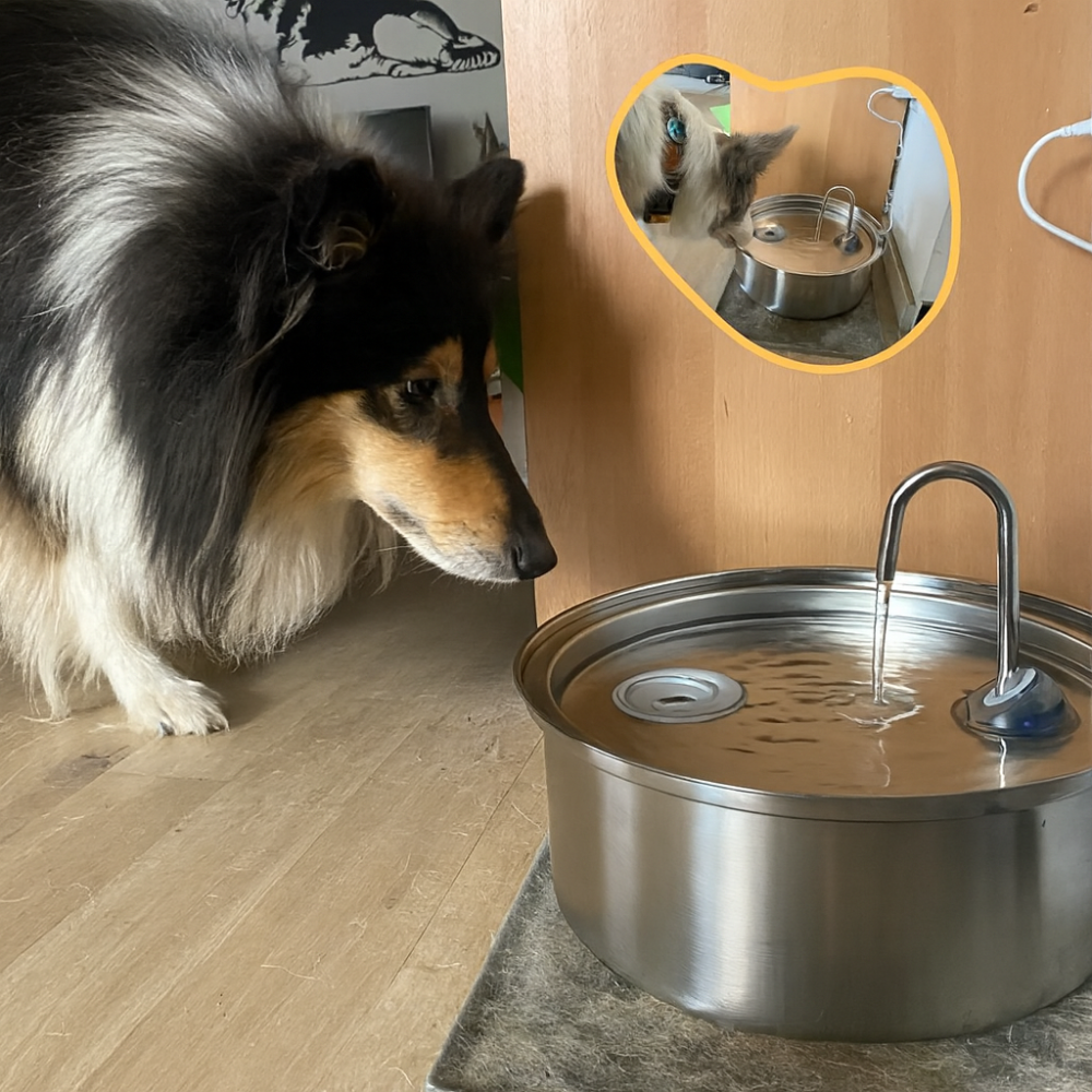 BowLift | Pet Water Fountain Stainless Steel Anti-Bacterial Pet Drinking Bowl