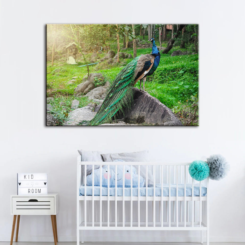 Dignified Sunlit Peacock - Canvas Wall Art Painting | Bowlift