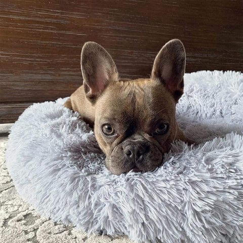 BowLift | Fluffy Calming Pet Bed for Dogs and Cats