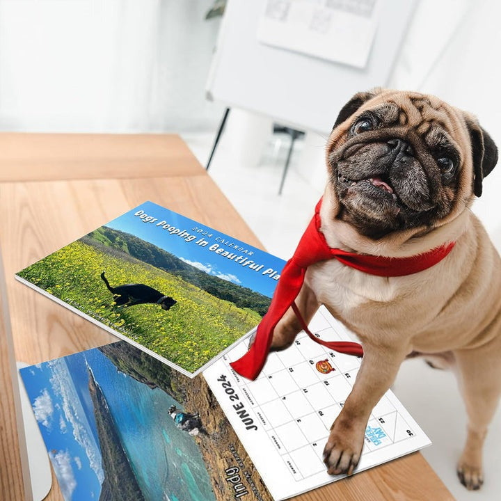 Funniest Calendar-Dogs Pooping in Beautiful Places | "Artistic Expression" of Furry Friends | Bowlift