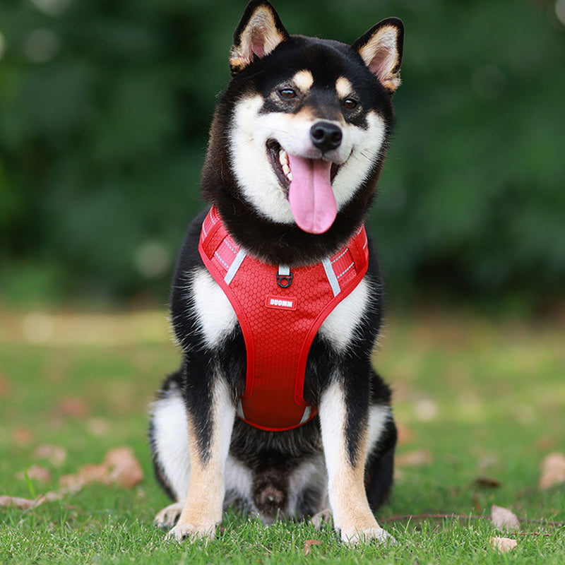 Reflective Dog Harness | Bowlift
