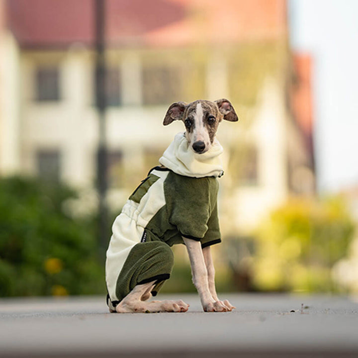 BowLift | Full Protection Polar Fleece Dog Overall with Removable Collar