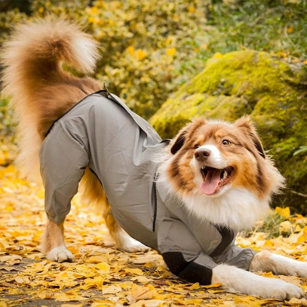 BowLift | Dog Rain Coat with Legs - Waterproof Dog Jacket for Small and Large Breeds | UK Cozy Winter Wear