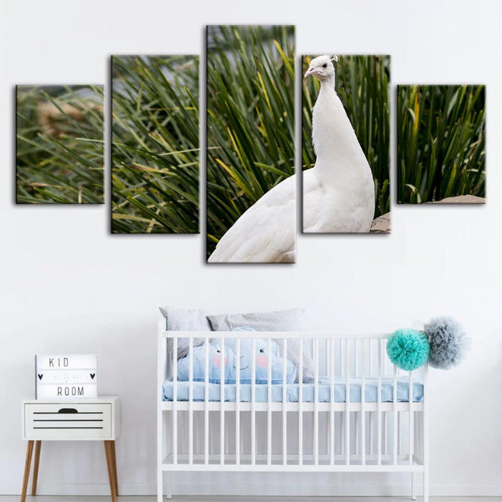5 Piece Regal Albino Peacock - Canvas Wall Art Painting | Bowlift