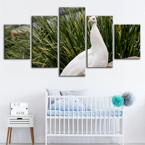 5 Piece Regal Albino Peacock - Canvas Wall Art Painting | Bowlift