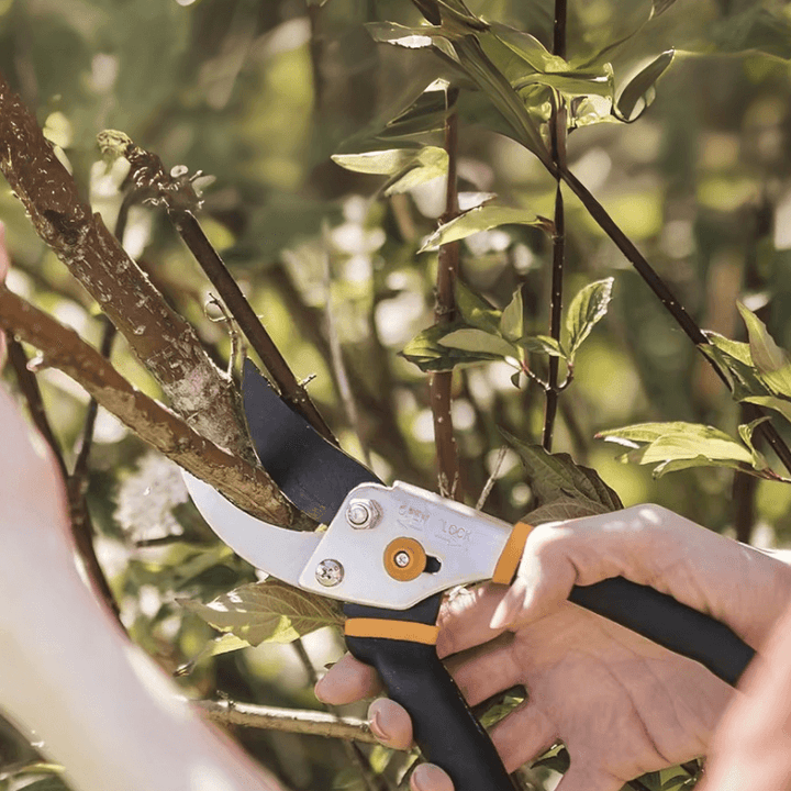 BowLift | Cutivor Pro Garden Shears | Stainless Steel Blade | Ergonomic & Non-Slip | Precision for Fruit Trees & Shrubs