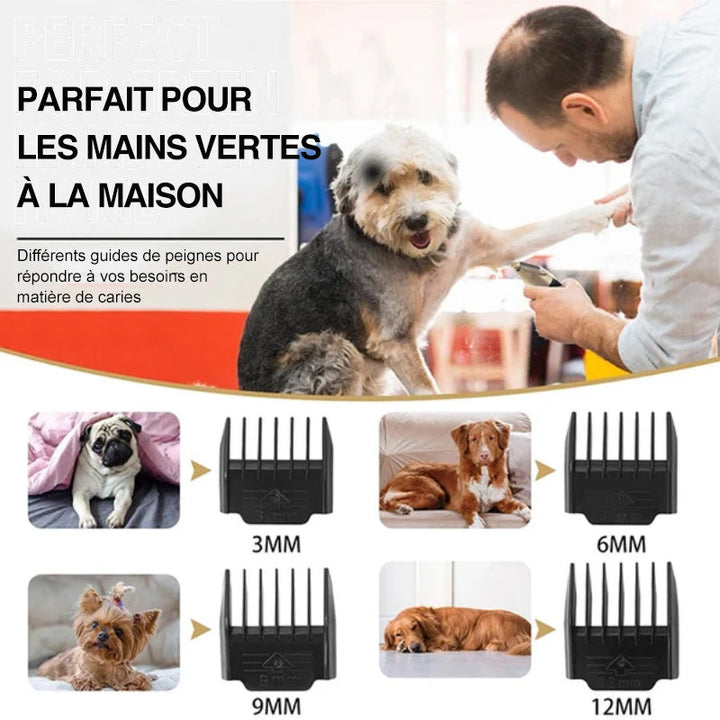 BowLift | Professional pet grooming kit