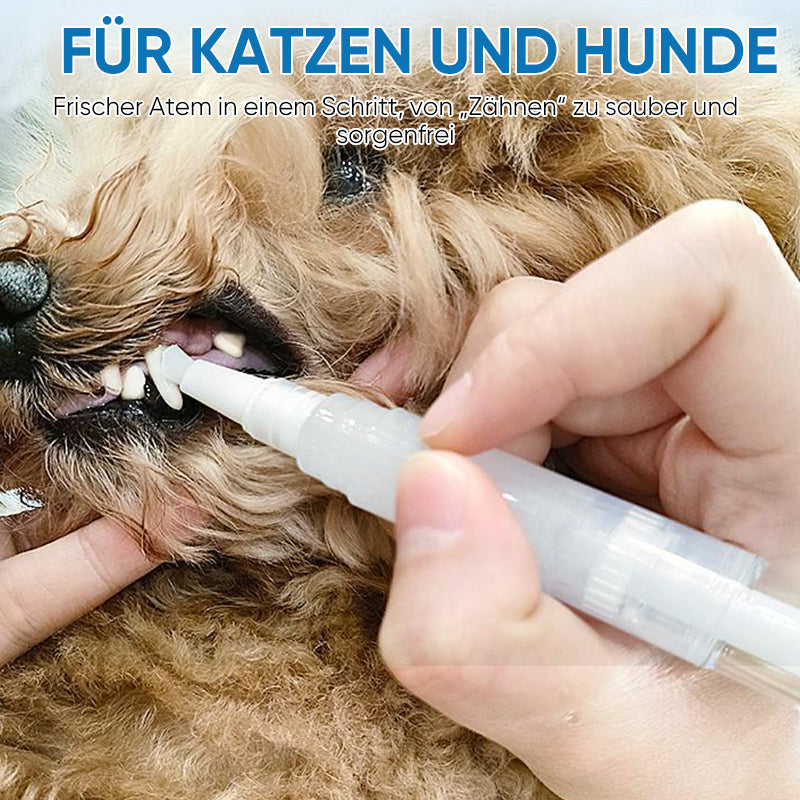 New improved toothbrush pen for pets | Bowlift