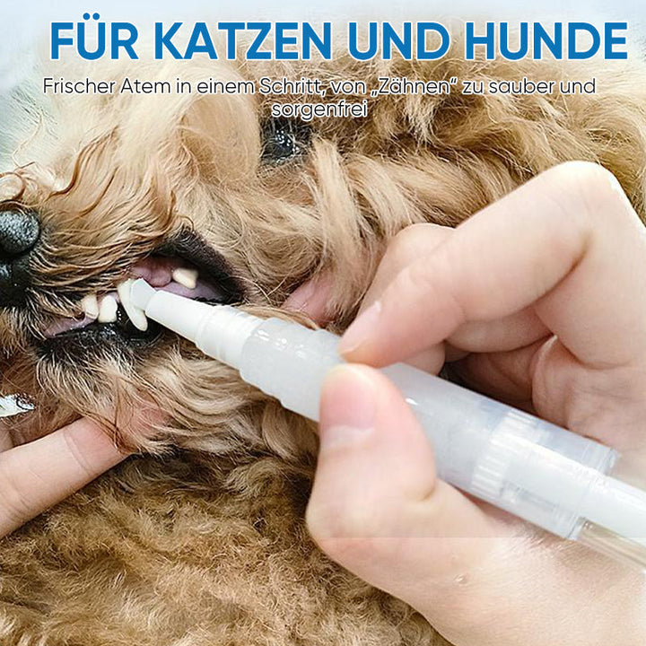 New improved toothbrush pen for pets | Bowlift