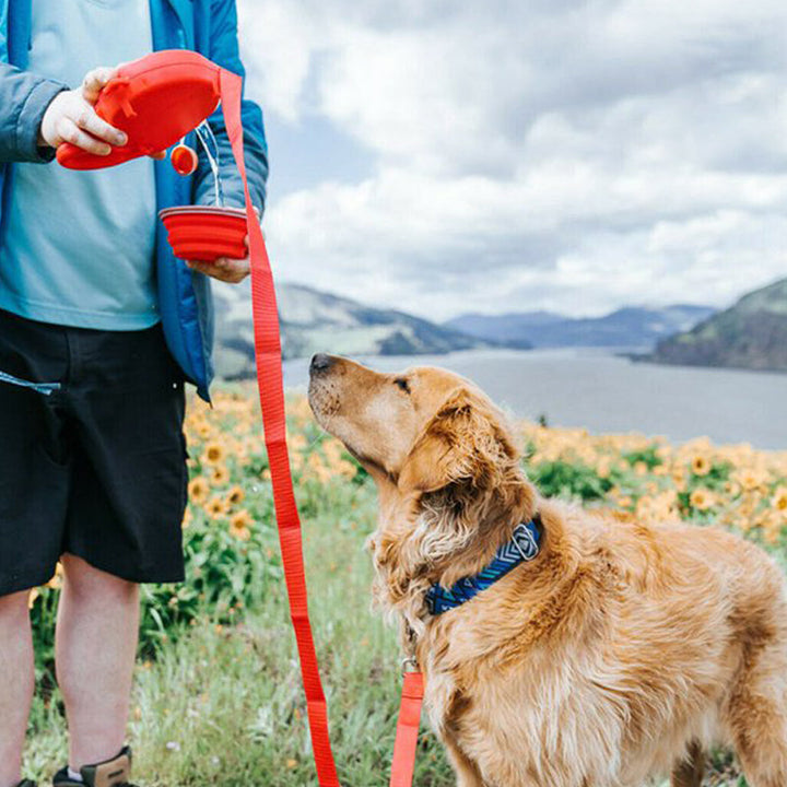 BowLift | 4 in 1 Dog Retractable Leash