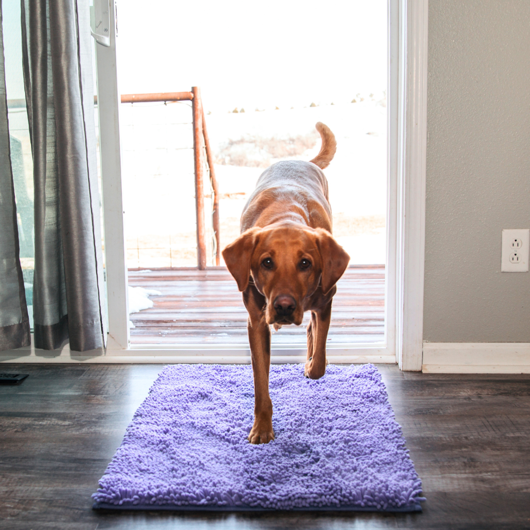 BowLift | Joep Dog Door Mat – Super Absorbent Mat for Dirty Paws